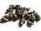 25 9mm to 29mm Black Spiral Seashell Beads Natural Beads Beach Beads Sea Shell Beads
